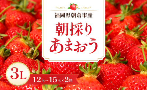 いちご 朝倉市産 あまおう 3L 12～15玉×2箱 イチゴ 苺 果物 デザート ※配送不可：離島 2683398 - 福岡県朝倉市
