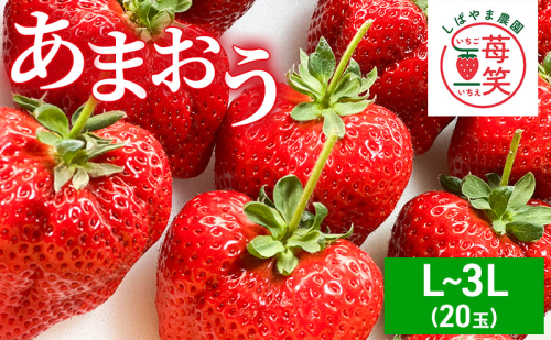 いちご 朝倉市産 あまおう L～3L 20玉 イチゴ 苺 果物 デザート ※配送不可：離島 2683403 - 福岡県朝倉市