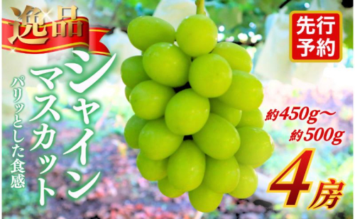 【★先行予約】【逸品】長野県産シャインマスカット 約450～500g×4房 贈答品対応可 果物 旬のフルーツ 長野県 上田 信州 2683454 - 長野県上田市