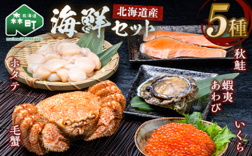 北海道産 海鮮五種 極み特選セット （毛蟹・ホタテ・いくら・蝦夷あわび・秋鮭） ＜ワイエスフーズ＞ 森町 海産物 魚貝類 ふるさと納税 北海道 mr1-1329 2683690 - 北海道森町