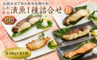 山形県水 漬魚1種詰合せB 5切 (1種5切 100g) F2Y-1999