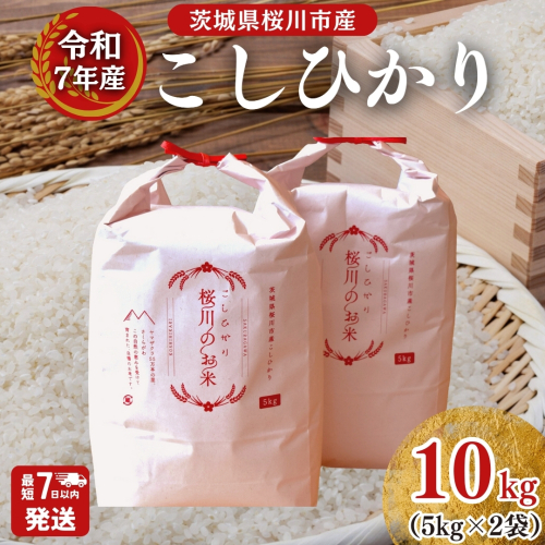 ＼スピード出荷／ 令和7年産 茨城県 桜川市産 こしひかり10kg（5kg×2袋） スピード 最短 7日 すぐ届く すぐ発送 スピード発送 早い 米 お米 白米 コメ ごはん 精米 コシヒカリ 国産 限定 銘柄米 [SC050sa-sp] 2684118 - 茨城県桜川市