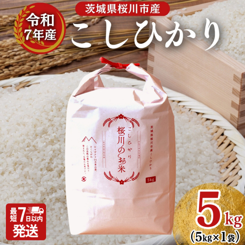 ＼スピード出荷／ 令和7年産 茨城県 桜川市産 こしひかり5kg（5kg×1袋） スピード 最短 7日 すぐ届く すぐ発送 スピード発送 早い [SC051sa-sp] 2684155 - 茨城県桜川市