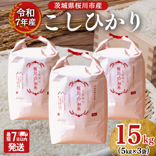 ＼スピード出荷／ 令和7年産 茨城県 桜川市産 こしひかり15kg（5kg×3袋） スピード 最短 7日 すぐ届く すぐ発送 スピード発送 早い [SC011sa-sp] 2684156 - 茨城県桜川市