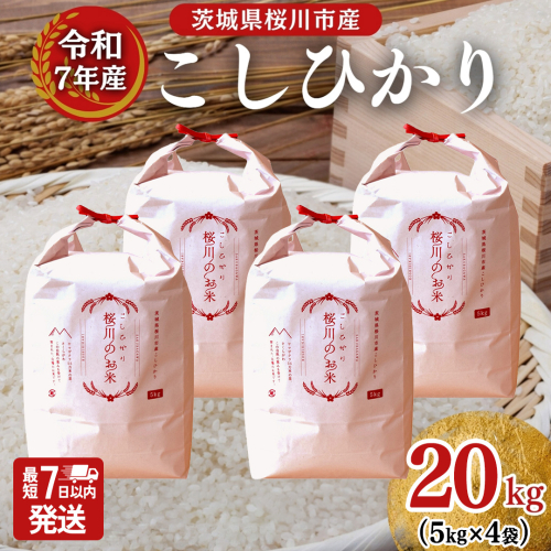 ＼スピード出荷／ 令和7年産 茨城県 桜川市産 こしひかり20kg（5kg×4袋） スピード 最短 7日 すぐ届く すぐ発送 スピード発送 早い [SC066sa-sp] 2684157 - 茨城県桜川市