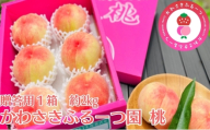 かわさきふるーつ園直送 桃 贈答用1箱　約2kg