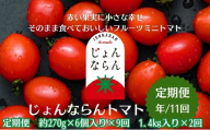 モリヒロ園芸が育てたじょんならんトマトの定期便（年間11回） 野菜 ミニトマト 甘い フルーツ サラダ