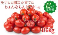 モリヒロ園芸が育てたじょんならんトマトの12ヶ月定期便 野菜 ミニトマト