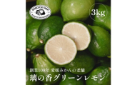 【先行受付】【皮が薄くて種が少ない】璃の香グリーンレモン 3kg 愛媛県産【C70-50】【1550669】 YWTK050