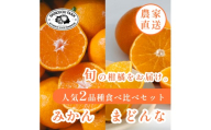 【発送月固定定期便】愛媛フルーツ旬の柑橘 みかん・まどんな【F70-39】全2回全2回【4055155】 YWTK039