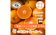 【発送月固定定期便】愛媛の美味しい柑橘 みかん・まどんな・伊予柑・甘平【H70-40】全4回【4055156】 YWTK040