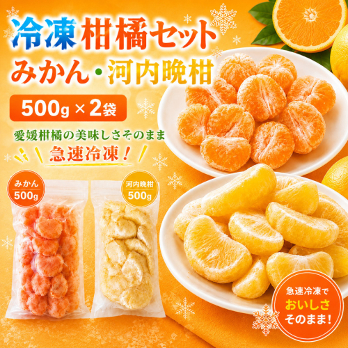 冷凍柑橘セット みかん・河内晩柑 500g ×2袋 冷凍みかん みかん ミカン 愛媛みかん 蜜柑 柑橘 かんきつ 冷凍ミカン 冷凍柑橘 アイス スムージー シャーベット みかん職人武田屋 愛媛県 愛南町 2684768 - 愛媛県愛南町