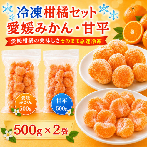 冷凍柑橘セット みかん・甘平 500g ×2袋 冷凍みかん みかん ミカン 愛媛みかん 蜜柑 柑橘 かんきつ 冷凍ミカン 冷凍柑橘 アイス スムージー シャーベット みかん職人武田屋 愛媛県 愛南町 2684769 - 愛媛県愛南町