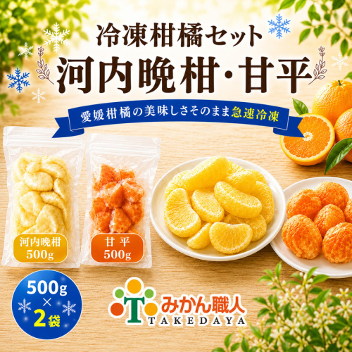 冷凍柑橘セット 河内晩柑・甘平 500g ×2袋 冷凍みかん みかん ミカン 愛媛みかん 蜜柑 柑橘 かんきつ 冷凍ミカン 冷凍柑橘 アイス スムージー シャーベット みかん職人武田屋 愛媛県 愛南町 2684771 - 愛媛県愛南町