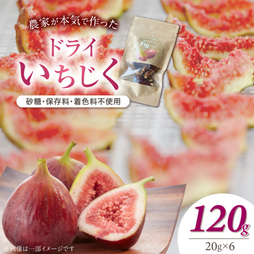 【無添加・砂糖不使用】農家が本気で作ったドライいちじく（20g×6パック） ドライフルーツ 完熟果実 乾燥 自然派 シンプル やさしい 甘い プチプチ イチジク 無花果 H164-013 2684782 - 愛知県碧南市