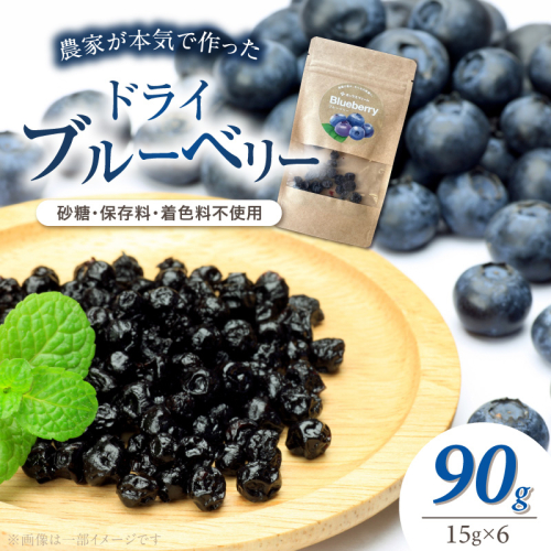 【無添加・砂糖不使用】農家が本気で作ったドライブルーベリー（15g×6パック） ドライフルーツ 乾燥 自然派 シンプル やさしい 甘酸っぱい H164-014 2684783 - 愛知県碧南市