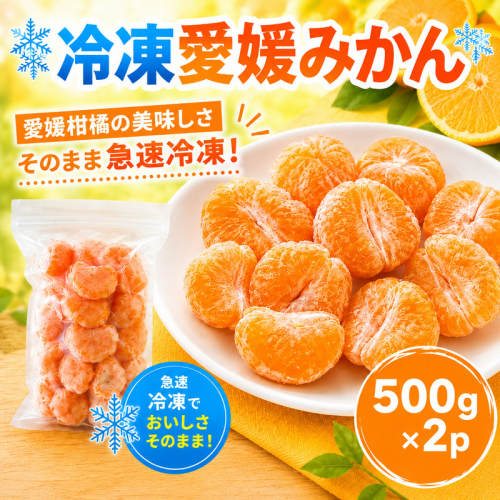 冷凍愛媛みかん 500g×2袋 冷凍みかん みかん ミカン 愛媛みかん 蜜柑 柑橘 かんきつ 冷凍ミカン 冷凍柑橘 アイス スムージー シャーベット みかん職人武田屋 愛媛県 愛南町 2684784 - 愛媛県愛南町