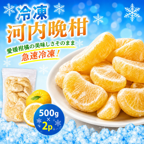 冷凍 河内晩柑 500g×2袋 小分け 愛南ゴールド 和製グレープフルーツ おやつ 柑橘 かんきつ 冷凍 冷凍柑橘 冷凍みかん 夏 アイス スムージー シャーベット みかん職人武田屋 愛媛県 愛南町 2684788 - 愛媛県愛南町