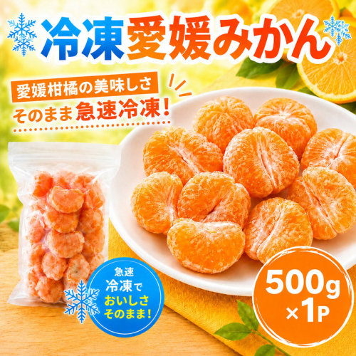 冷凍愛媛みかん 500g×1袋 冷凍みかん みかん ミカン 愛媛みかん 蜜柑 柑橘 かんきつ 冷凍ミカン 冷凍柑橘 アイス スムージー シャーベット みかん職人武田屋 愛媛県 愛南町 2684789 - 愛媛県愛南町