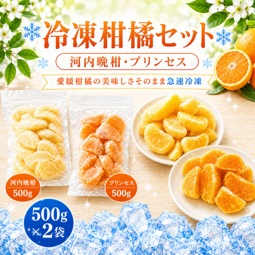 冷凍柑橘セット 河内晩柑・プリンセス 500g ×2袋 冷凍みかん みかん ミカン 愛媛みかん 蜜柑 柑橘 かんきつ 冷凍ミカン 冷凍柑橘 アイス スムージー シャーベット みかん職人武田屋 愛媛県 愛南町 2684790 - 愛媛県愛南町