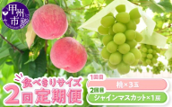 【定期便】食べきりサイズ 甲州市からお届けする 桃＆シャインマスカット【2026年発送】（KSB）B16-130【桃 もも モモ シャインマスカット 葡萄 ぶどう ブドウ 令和8年発送  期間限定 山梨県産 甲州市 フルーツ 果物 】