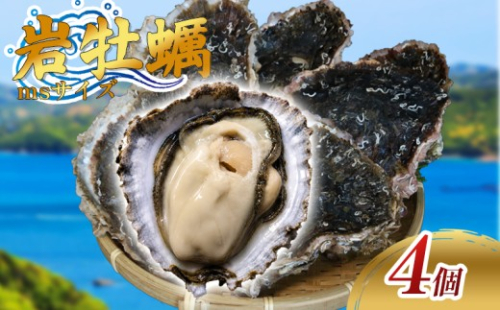 （冷蔵） Bコース 岩牡蠣 MSサイズ 4個 三重産 カキ かき 加熱用 カキフライ 牡蠣鍋 蒸し牡蠣 カキ BBQ 浜焼き バーベキュー 新鮮 海鮮 魚介 国産 取り寄せ グルメ 料理 オイスター おつまみ お弁当 おかず 惣菜 グラタン バーベキュー ごはん 伊勢 志摩 三重県 南伊勢町 15000円 一万五千円 2684846 - 三重県南伊勢町