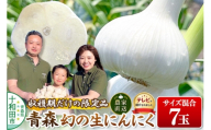 先行受付【テレビ紹介】青森 幻の生にんにく7玉（農家直送・収穫期だけの限定品） 青森にんにくファーム [稀少 ニンニク 今が旬 直送]