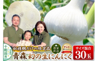 先行受付【テレビ紹介】青森 幻の生にんにく30玉（農家直送・収穫期だけの限定品） 青森にんにくファーム [稀少 ニンニク 今が旬 直送]