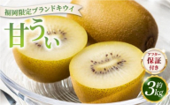 寄附額改定↓【先行予約】希少 キウイ 甘うぃ 約3kg（2026年11月以降発送）|果物 旬 国産 産地直送 キウイキウイ キウイフルーツ キウィフルーツ 甘うぃ 送料無料 那珂川市 福岡県