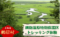 【北海道鶴居村】水の大地 釧路湿原 特別保護区 トレッキング体験 チケット1枚1名様