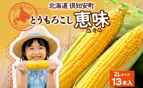 朝もぎ イエロー とうもろこし 恵味 2Lサイズ 13本 約5kg 大きめ 夏野菜 とうきび 旬 新鮮 野菜 トウモロコシ 甘い ギフト 産地直送 コーン 産直 グリーンアースファーム 送料無料 北海道 倶知安町 2685486 - 北海道倶知安町