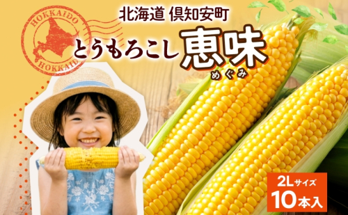 朝もぎ イエロー とうもろこし 恵味 2Lサイズ 10本 お試し 大きめ 夏野菜 とうきび 旬 新鮮 野菜 トウモロコシ 甘い ギフト 産地直送 コーン 産直 グリーンアースファーム 送料無料 北海道 倶知安町 2685488 - 北海道倶知安町