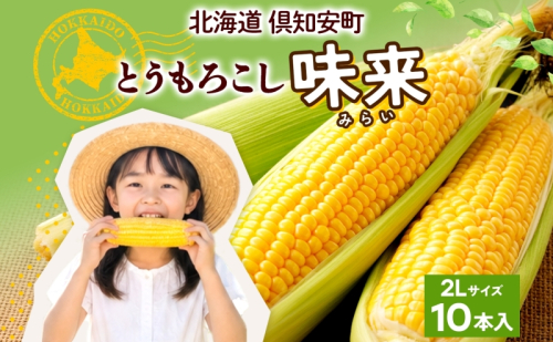 朝もぎ イエロー とうもろこし 味来 みらい 2Lサイズ 10本 お試し 大きめ 夏野菜 とうきび 旬 新鮮 野菜 トウモロコシ 甘い ギフト 産地直送 コーン 産直 グリーンアースファーム 送料無料 北海道 倶知安町 2685489 - 北海道倶知安町