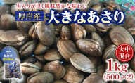 翌日配送 航空便 北海道 厚岸産 あさり 500g×2パック (合計1kg) 大中混合 アサリ 魚貝 海 美味しい 栄養 旨み 砂出し 水洗い 冷蔵 冷凍保存可能 便利