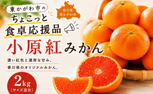 東かがわ市のちょこっと食卓応援品「小原紅みかん 2kg」 2685567 - 香川県東かがわ市