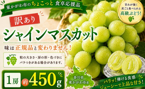 東かがわ市のちょこっと食卓応援品「訳ありシャインマスカット1房（約450g）」 2685568 - 香川県東かがわ市