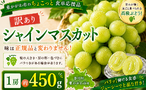 東かがわ市のちょこっと食卓応援品「訳ありシャインマスカット1房（約450g）」 2685568 - 香川県東かがわ市