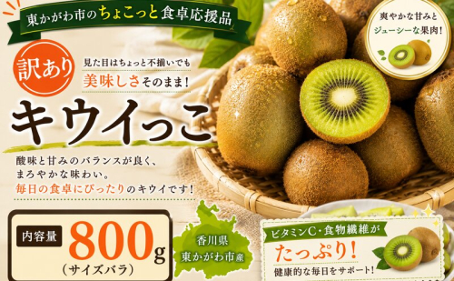 東かがわ市のちょこっと食卓応援品「キウイっこ 800g（サイズバラ）」 2685569 - 香川県東かがわ市