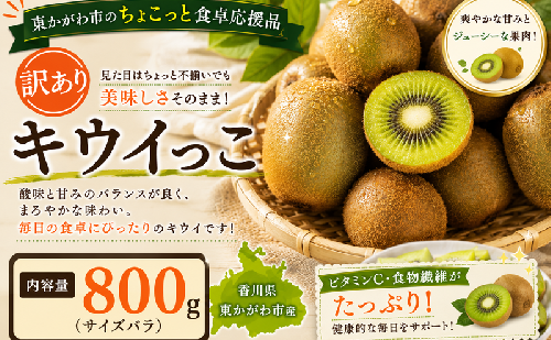 東かがわ市のちょこっと食卓応援品「キウイっこ 800g（サイズバラ）」 2685569 - 香川県東かがわ市