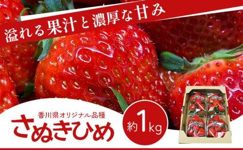 香川讃岐の毎日食べたい「さぬきひめいちご 1kg」 2685571 - 香川県東かがわ市