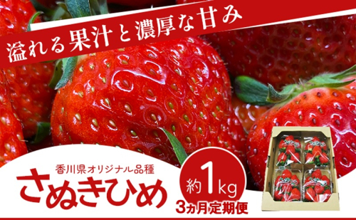 香川讃岐の毎月食べたい定期「さぬきひめいちご 1kg」3ヶ月定期便 2685572 - 香川県東かがわ市