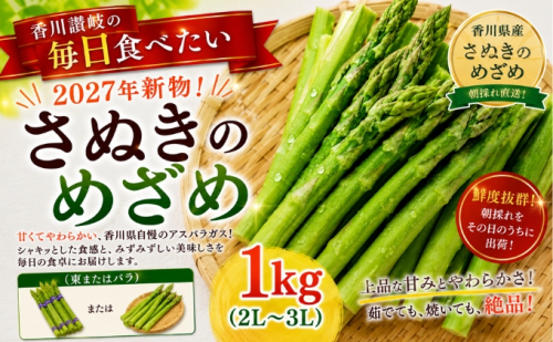 香川讃岐の毎日食べたい「2027年新物！さぬきのめざめ 1kg（2L～３L）」 2685573 - 香川県東かがわ市