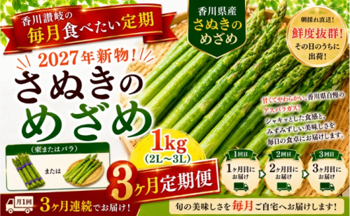 香川讃岐の毎月食べたい定期「2027年新物！さぬきのめざめ 1kg（2L～３L）」3ヶ月定期便 2685574 - 香川県東かがわ市