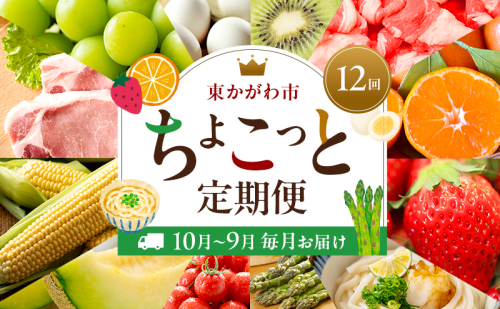 東かがわ市ちょこっと定期便(12回) 卵 キウイ 黒毛和牛 みかん いちご 讃岐うどん アスパラ トマト メロン コーン 豚肉 シャインマスカット 香川 2685577 - 香川県東かがわ市