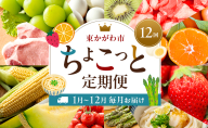 東かがわ市ちょこっと定期便(12回) みかん いちご 讃岐うどん アスパラ トマト メロン コーン 豚肉 シャインマスカット 卵 キウイ 黒毛和牛 香川