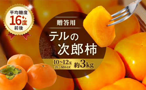 【2026年11月上旬～順次発送】テルの次郎柿 10～12玉 約3kg（2L～Ｍサイズ）贈答用 柿 旬 かき 果物 くだもの フルーツ 旬の果物 旬のフルーツ 秋の味覚 静岡 浜松市【配送不可：離島】 2685664 - 静岡県浜松市
