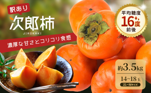 【2026年11月上旬～順次発送】訳あり テルの次郎柿 14～18玉 約3.5kg（2L～Ｍサイズ）柿 旬 家庭用 かき 果物 くだもの フルーツ 旬の果物 旬のフルーツ 秋の味覚 静岡 浜松市【配送不可：離島】 2685665 - 静岡県浜松市