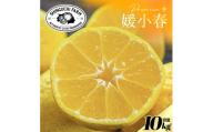 【先行受付】老舗農家が見極めたプレミアム【媛小春10kg】 愛媛県新品種【H70-119】1683937】 YWTK118