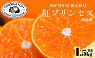 【先行受付】紅プリンセスと同品種「甘平×まどんな」愛果48号【1.5kg】《新品種》【家庭用】【C70-146】【1689784】 YWTK145