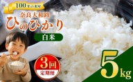【定期便3回】 奈良大和路 ひのひかり 白米 5kg | コメ 米 こめ お米 おこめ オコメ ひのひかり おにぎり 白米 おにぎり | 奈良県 五條市